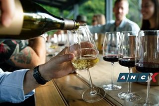 A guide on how  to navigate a wine tasting