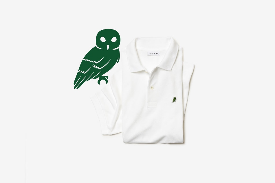 An endangered insect from Cebu is featured in Lacoste’s Save Our Species campaign 12