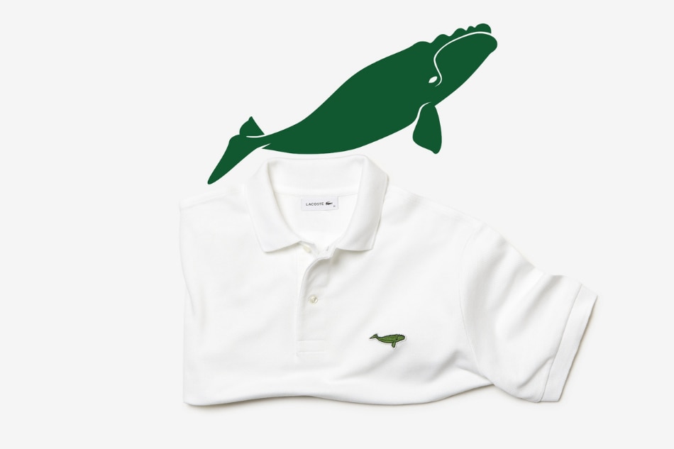 An endangered insect from Cebu is featured in Lacoste’s Save Our Species campaign 11