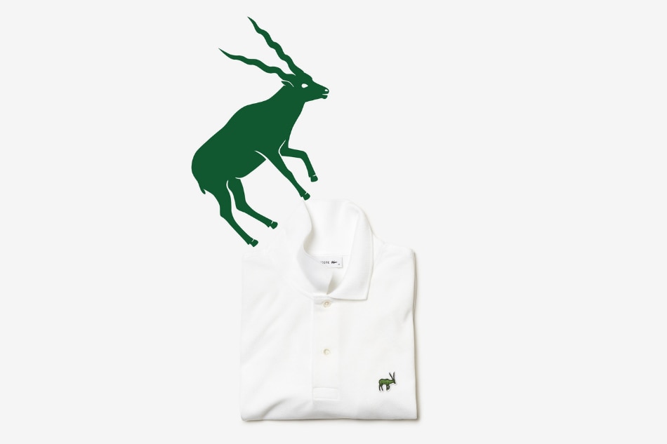 An endangered insect from Cebu is featured in Lacoste’s Save Our Species campaign 9