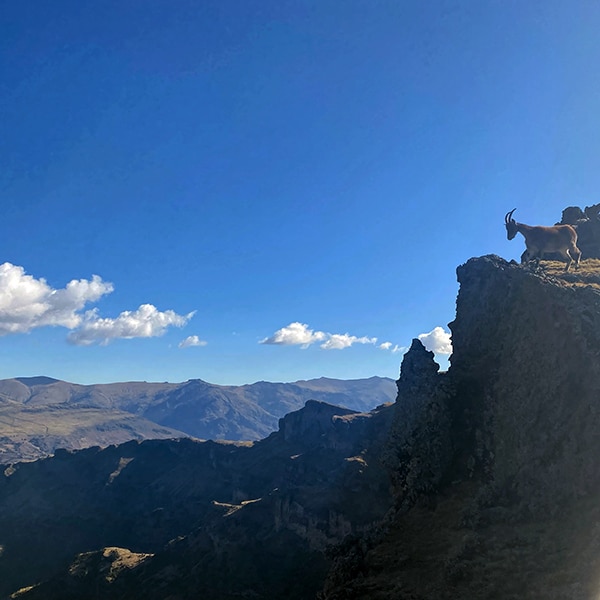 These hikers planted what might be the first PH flag on the summit of Ethiopia’s highest peak 6