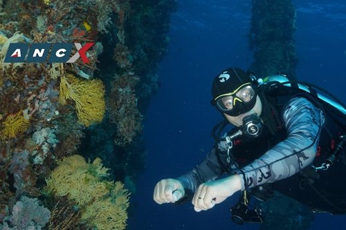 This congressman-diver knows why the PH just won the World’s Leading Dive Destination award