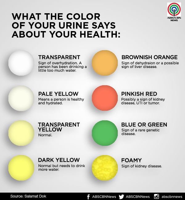 What the color of your pee says about your health ABSCBN News
