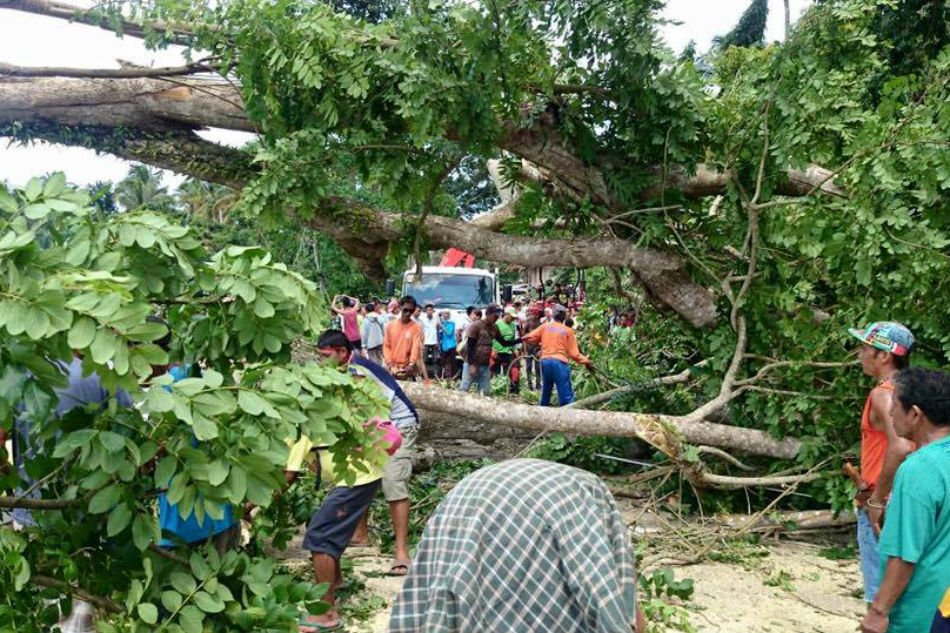 LOOK: Whirlwind damages trees, houses in Basilan | ABS-CBN News