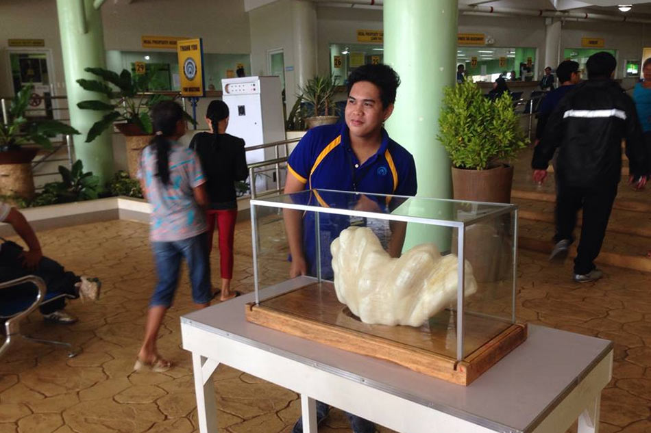 LOOK: 34-kilogram pearl wows in Puerto Princesa 2