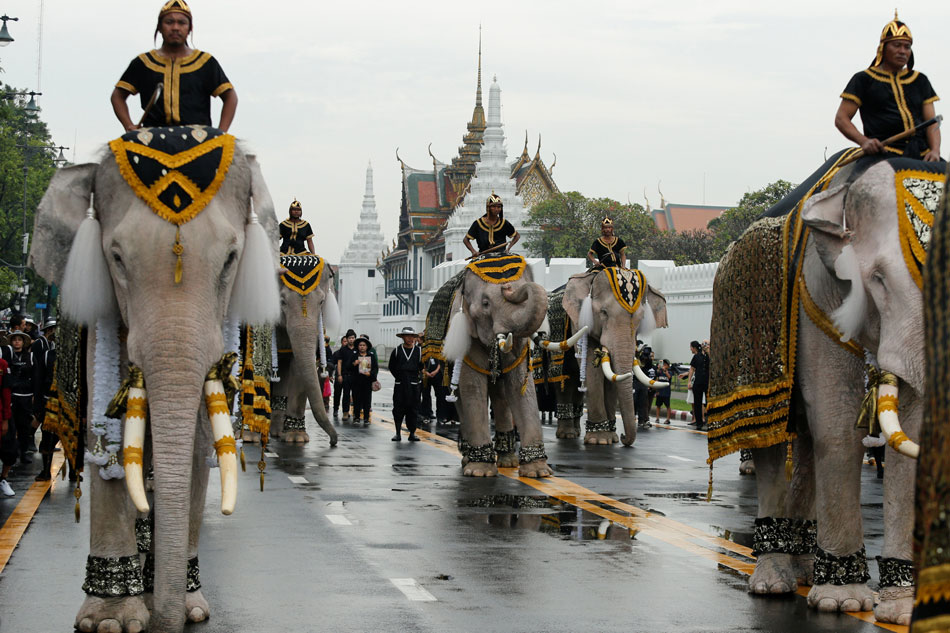 White elephants, mahouts pay respects to late Thai king