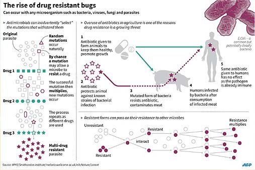 'Invincible' bacteria threatens global epidemic: study | ABS-CBN News